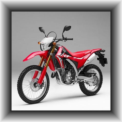 Honda Enduro