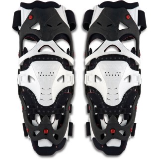 Ufo Morpho top Preis