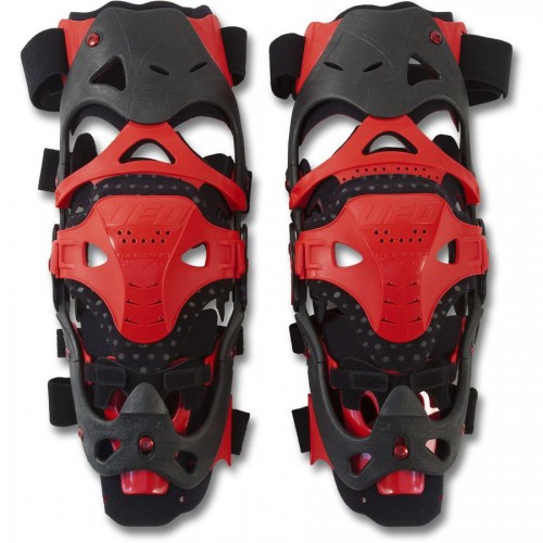 Ufo Morpho top Preis